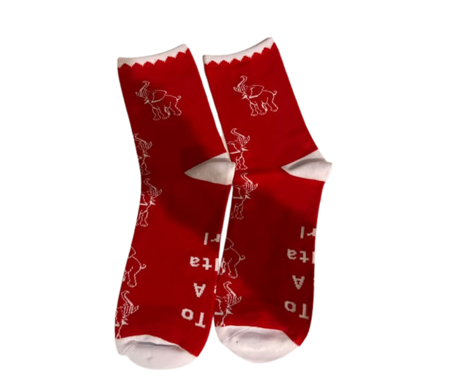 SORORITY SOCKS